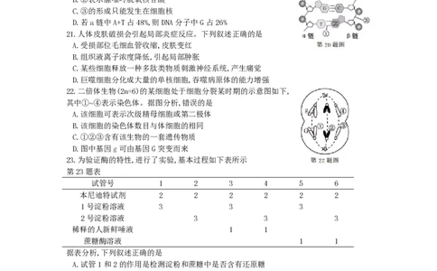 2017年高考生物试卷（浙江）11月（空白卷）_生物历年高考真题_新&middot;PDF版2008-2025&middot;高考生物真题_生物（按年份分类）2008-2025_2017&middot;高考生物真题