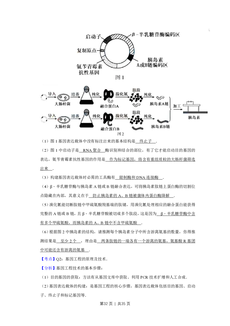 2015年高考生物试卷（江苏）（解析卷）_生物历年高考真题_新&middot;PDF版2008-2025&middot;高考生物真题_生物（按省份分类）2008-2025_2008-2025&middot;（江苏）生物高考真题