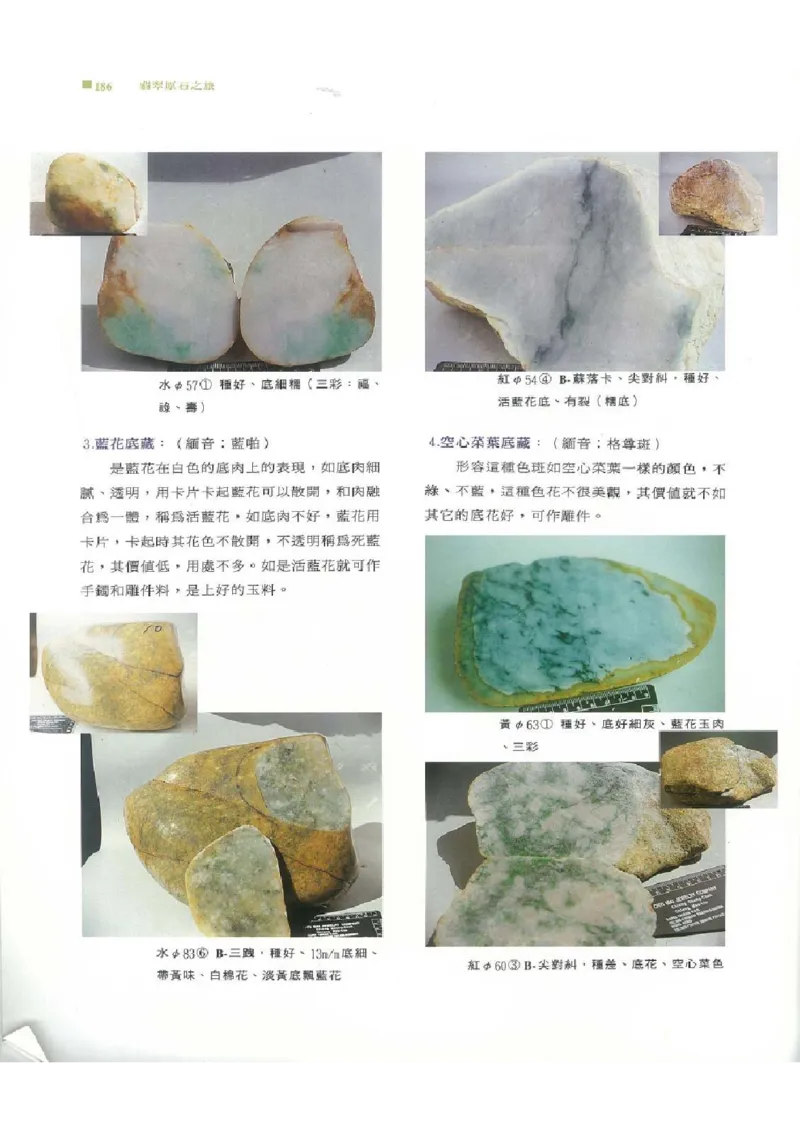 翡翠原石之旅2_X018-玉石珠宝鉴定教程最新合集_6、翡翠鉴定专题全套课程_翡翠电子书_翡翠品评