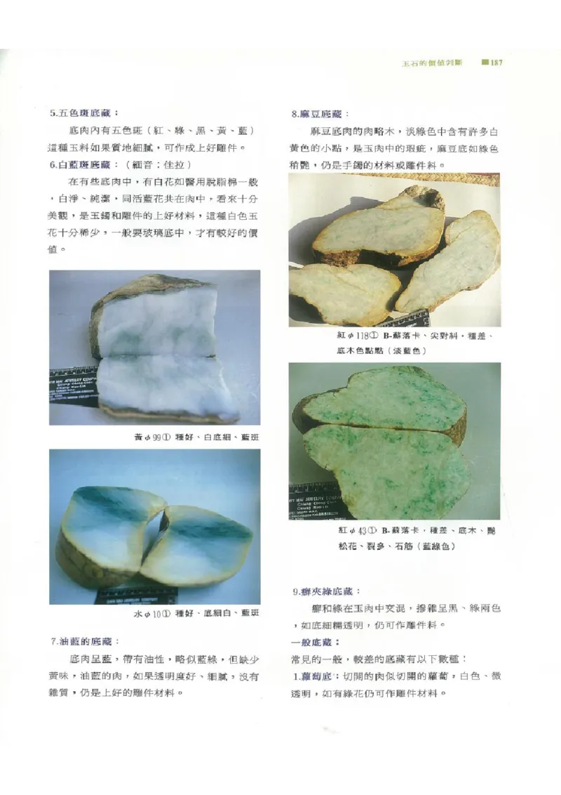 翡翠原石之旅2_X018-玉石珠宝鉴定教程最新合集_6、翡翠鉴定专题全套课程_翡翠电子书_翡翠品评
