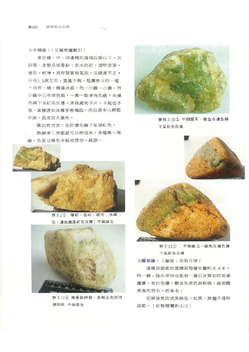 翡翠原石之旅2_X018-玉石珠宝鉴定教程最新合集_6、翡翠鉴定专题全套课程_翡翠电子书_翡翠品评