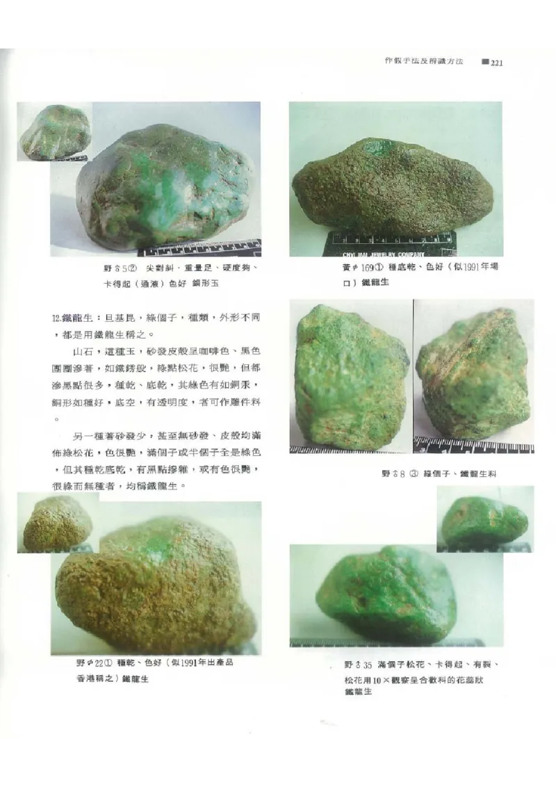 翡翠原石之旅2_X018-玉石珠宝鉴定教程最新合集_6、翡翠鉴定专题全套课程_翡翠电子书_翡翠品评