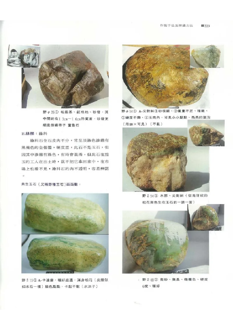 翡翠原石之旅2_X018-玉石珠宝鉴定教程最新合集_6、翡翠鉴定专题全套课程_翡翠电子书_翡翠品评