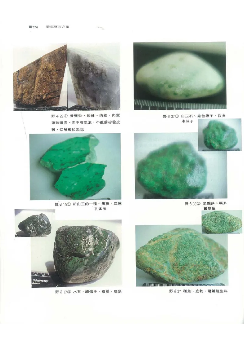 翡翠原石之旅2_X018-玉石珠宝鉴定教程最新合集_6、翡翠鉴定专题全套课程_翡翠电子书_翡翠品评