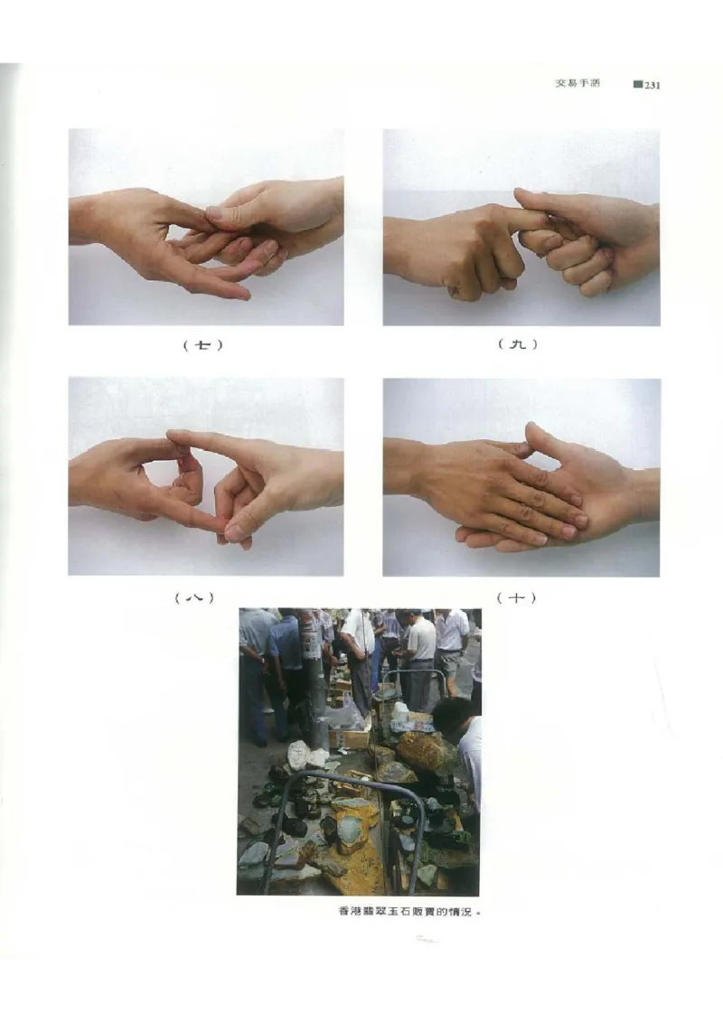 翡翠原石之旅2_X018-玉石珠宝鉴定教程最新合集_6、翡翠鉴定专题全套课程_翡翠电子书_翡翠品评