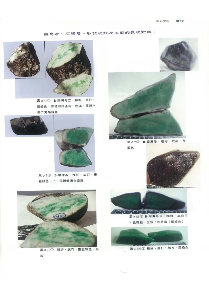翡翠原石之旅2_X018-玉石珠宝鉴定教程最新合集_6、翡翠鉴定专题全套课程_翡翠电子书_翡翠品评