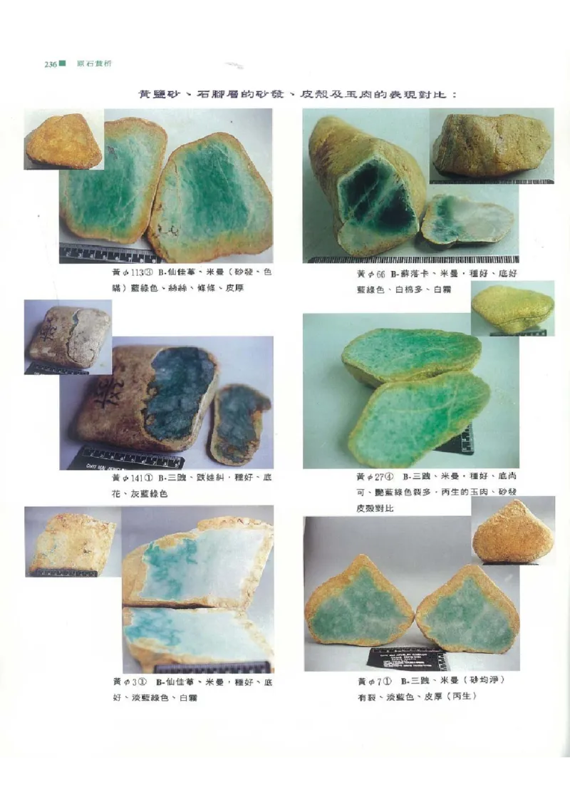 翡翠原石之旅2_X018-玉石珠宝鉴定教程最新合集_6、翡翠鉴定专题全套课程_翡翠电子书_翡翠品评