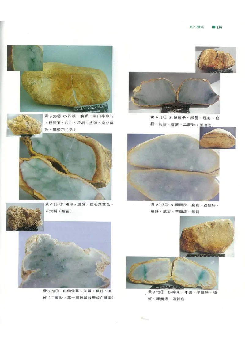 翡翠原石之旅2_X018-玉石珠宝鉴定教程最新合集_6、翡翠鉴定专题全套课程_翡翠电子书_翡翠品评