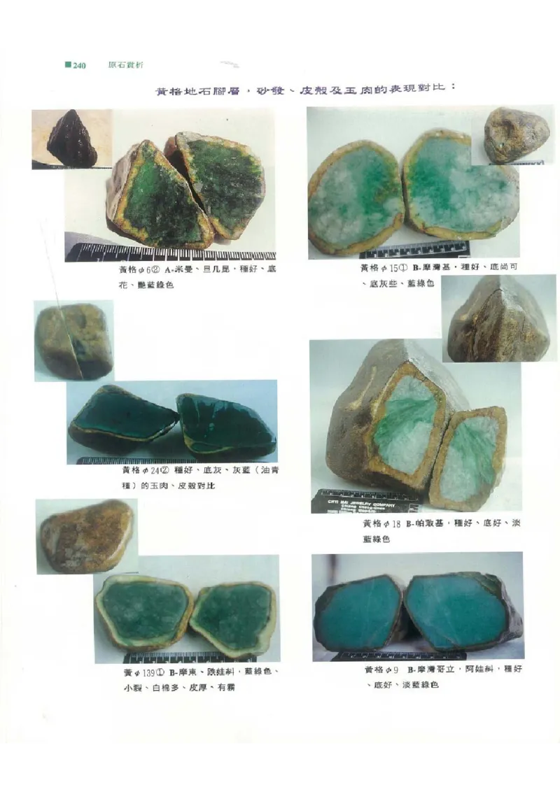 翡翠原石之旅2_X018-玉石珠宝鉴定教程最新合集_6、翡翠鉴定专题全套课程_翡翠电子书_翡翠品评