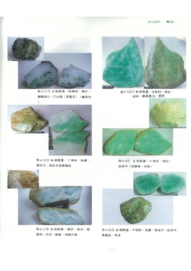 翡翠原石之旅2_X018-玉石珠宝鉴定教程最新合集_6、翡翠鉴定专题全套课程_翡翠电子书_翡翠品评