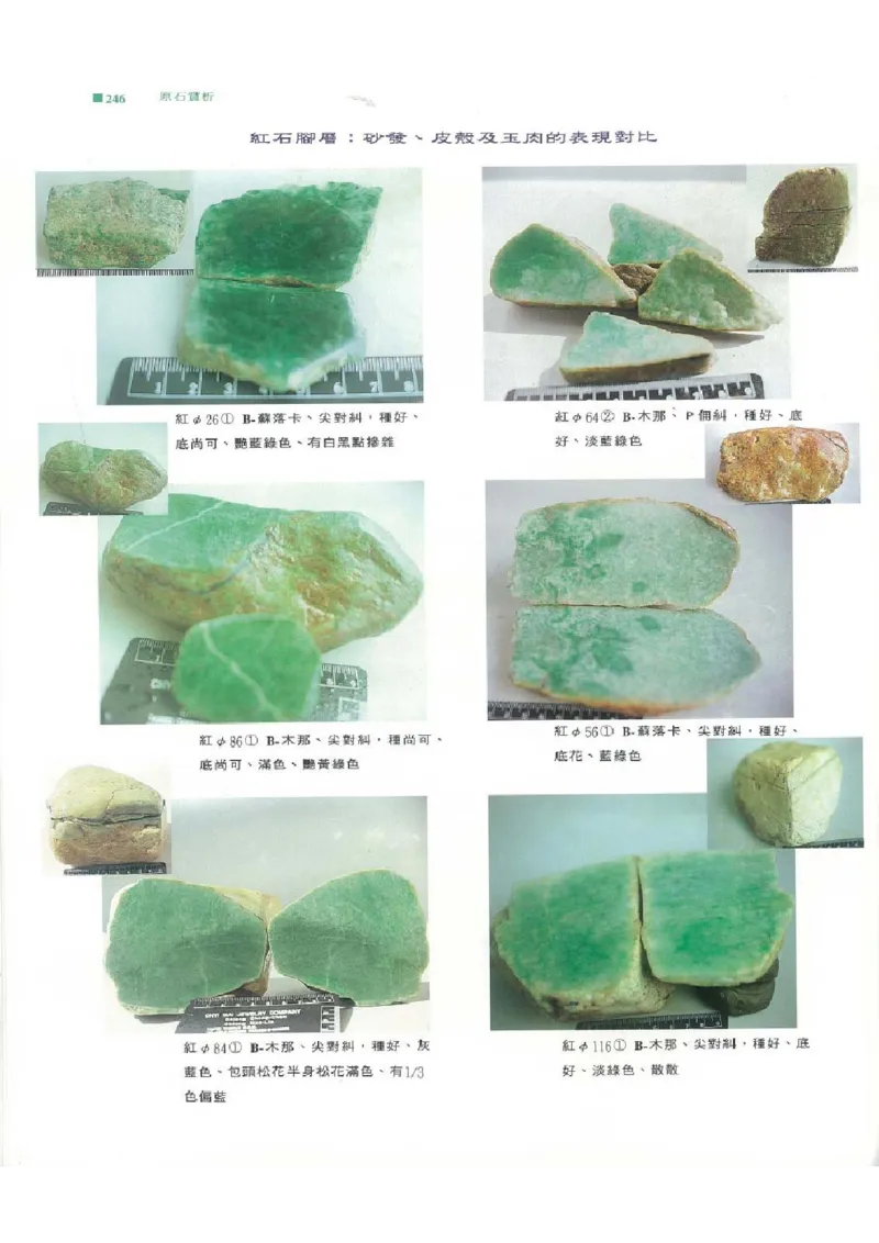 翡翠原石之旅2_X018-玉石珠宝鉴定教程最新合集_6、翡翠鉴定专题全套课程_翡翠电子书_翡翠品评