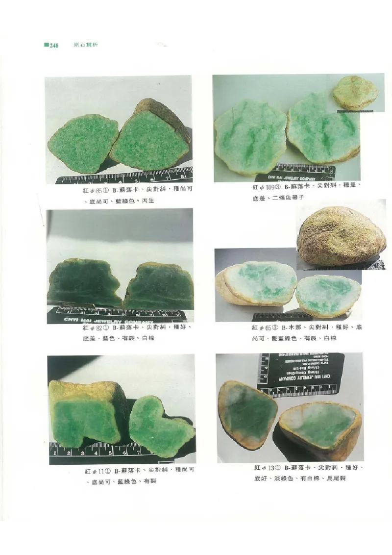 翡翠原石之旅2_X018-玉石珠宝鉴定教程最新合集_6、翡翠鉴定专题全套课程_翡翠电子书_翡翠品评