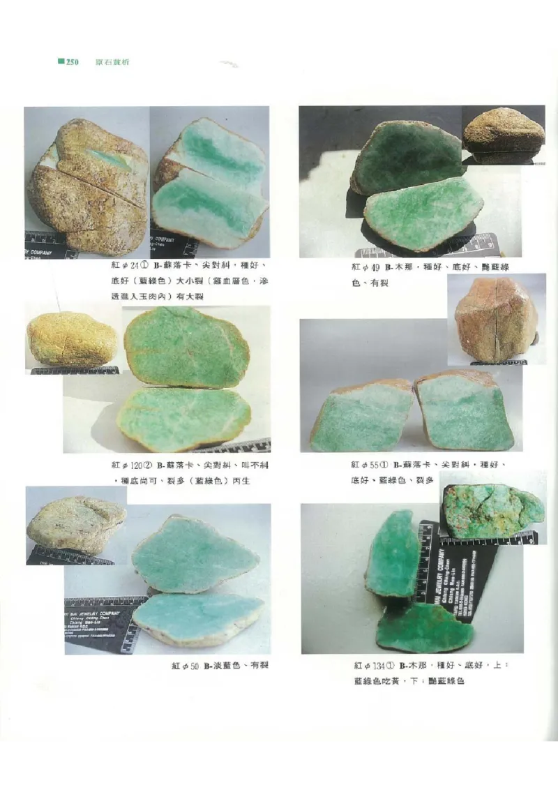 翡翠原石之旅2_X018-玉石珠宝鉴定教程最新合集_6、翡翠鉴定专题全套课程_翡翠电子书_翡翠品评