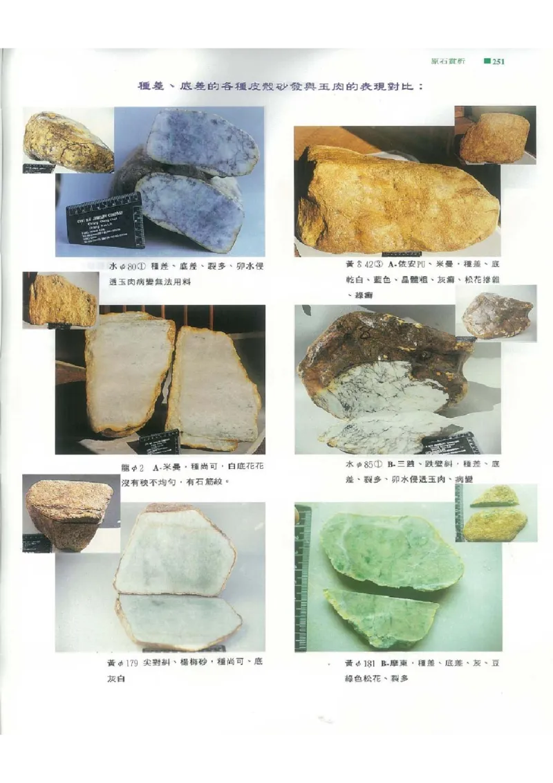 翡翠原石之旅2_X018-玉石珠宝鉴定教程最新合集_6、翡翠鉴定专题全套课程_翡翠电子书_翡翠品评