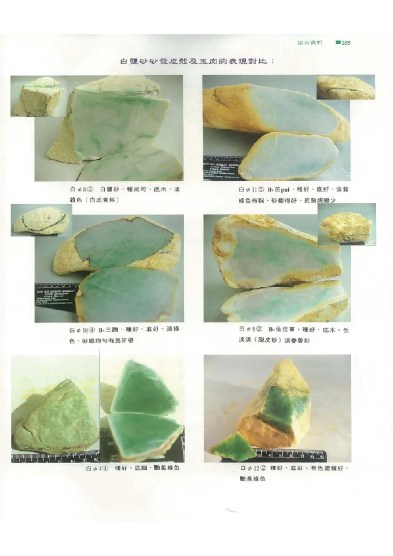 翡翠原石之旅2_X018-玉石珠宝鉴定教程最新合集_6、翡翠鉴定专题全套课程_翡翠电子书_翡翠品评