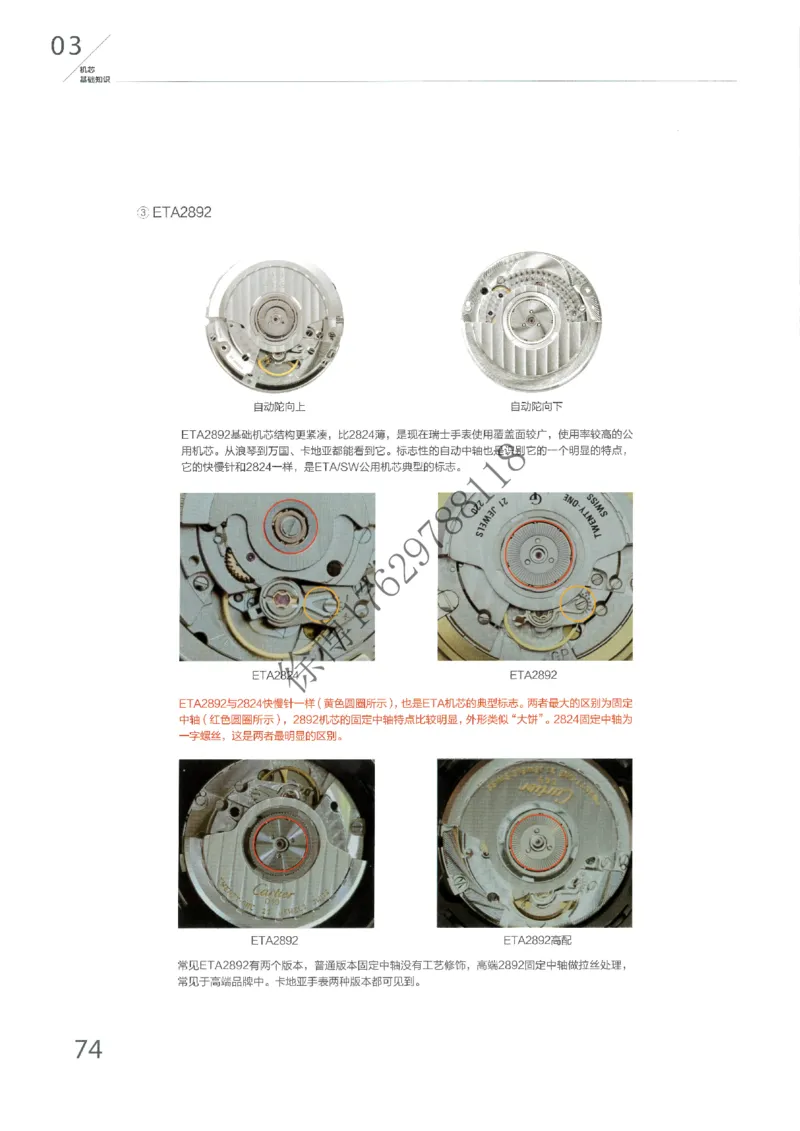 奢侈品名表_X017-奢侈品鉴定教程最新合集_5、寄卖行鉴定全套手册合集6套_手表鉴定资料