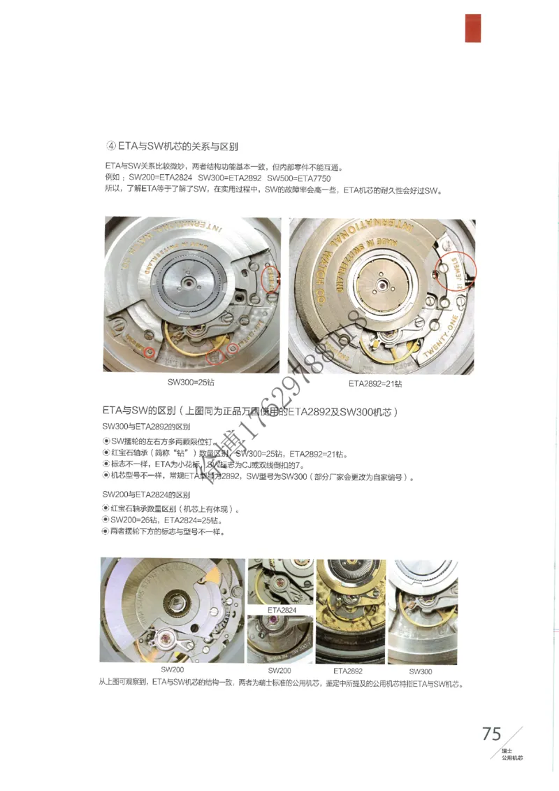 奢侈品名表_X017-奢侈品鉴定教程最新合集_5、寄卖行鉴定全套手册合集6套_手表鉴定资料