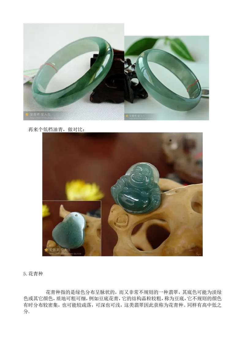 看&ldquo;图&rdquo;说&ldquo;种&rdquo;_X018-玉石珠宝鉴定教程最新合集_8、玉石翡翠鉴定与投资电子资料_赌石专题