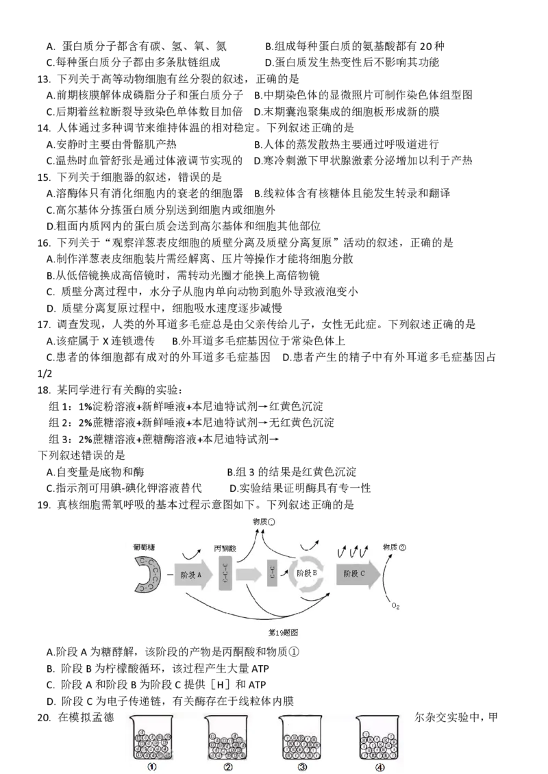 2016年高考生物试卷（浙江）10月（空白卷）_生物历年高考真题_新&middot;PDF版2008-2025&middot;高考生物真题_生物（按年份分类）2008-2025_2016&middot;高考生物真题