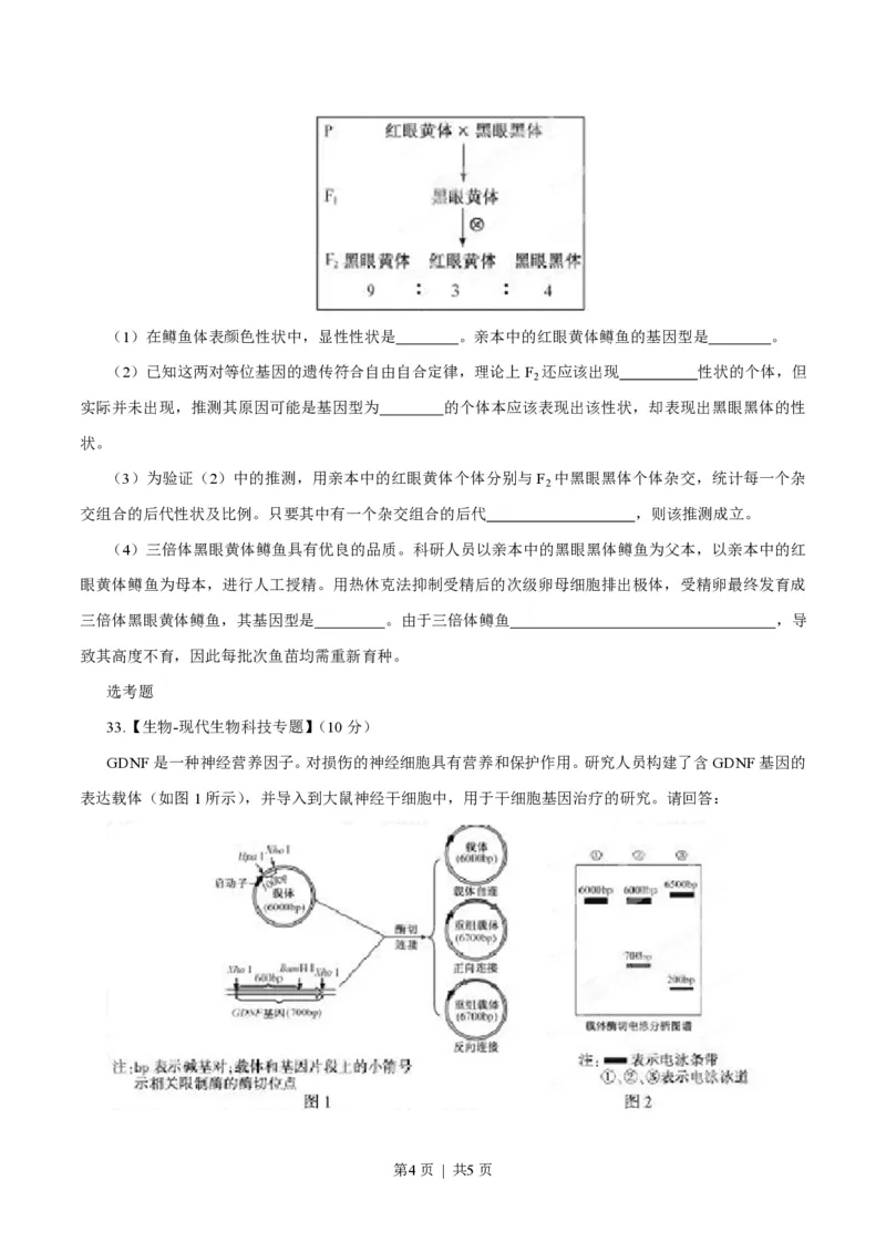 2015年高考生物试卷（福建）（空白卷）_生物历年高考真题_新&middot;PDF版2008-2025&middot;高考生物真题_生物（按试卷类型分类）2008-2025_自主命题卷&middot;生物（2008-2025）