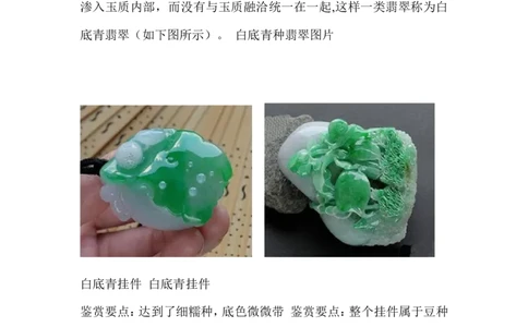 白底青种翡翠_X018-玉石珠宝鉴定教程最新合集_8、玉石翡翠鉴定与投资电子资料_赌石专题