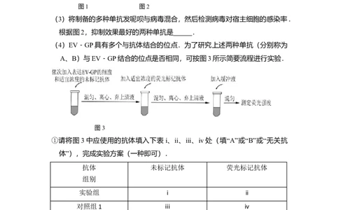 2016年高考生物试卷（北京）（空白卷）_生物历年高考真题_新&middot;Word版2008-2025&middot;高考生物真题_生物（按年份分类）2008-2025_2016&middot;高考生物真题