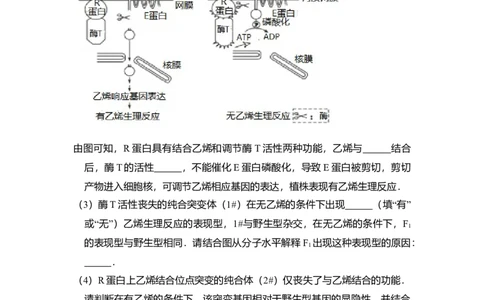 2016年高考生物试卷（北京）（空白卷）_生物历年高考真题_新&middot;Word版2008-2025&middot;高考生物真题_生物（按年份分类）2008-2025_2016&middot;高考生物真题