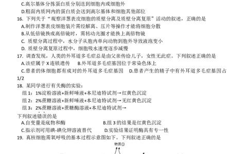 2016年高考生物试卷（浙江）（10月）（空白卷）_生物历年高考真题_新&middot;Word版2008-2025&middot;高考生物真题_生物（按试卷类型分类）2008-2025_自主命题卷&middot;生物（2008-2025）