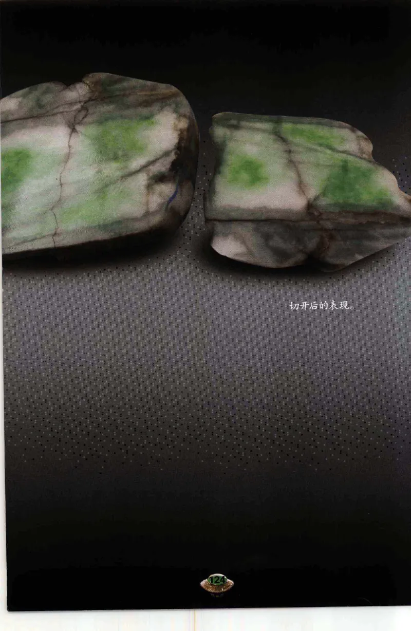 投资黑乌砂技巧与陷阱_X018-玉石珠宝鉴定教程最新合集_6、翡翠鉴定专题全套课程_翡翠电子书_翡翠鉴赏_41-50