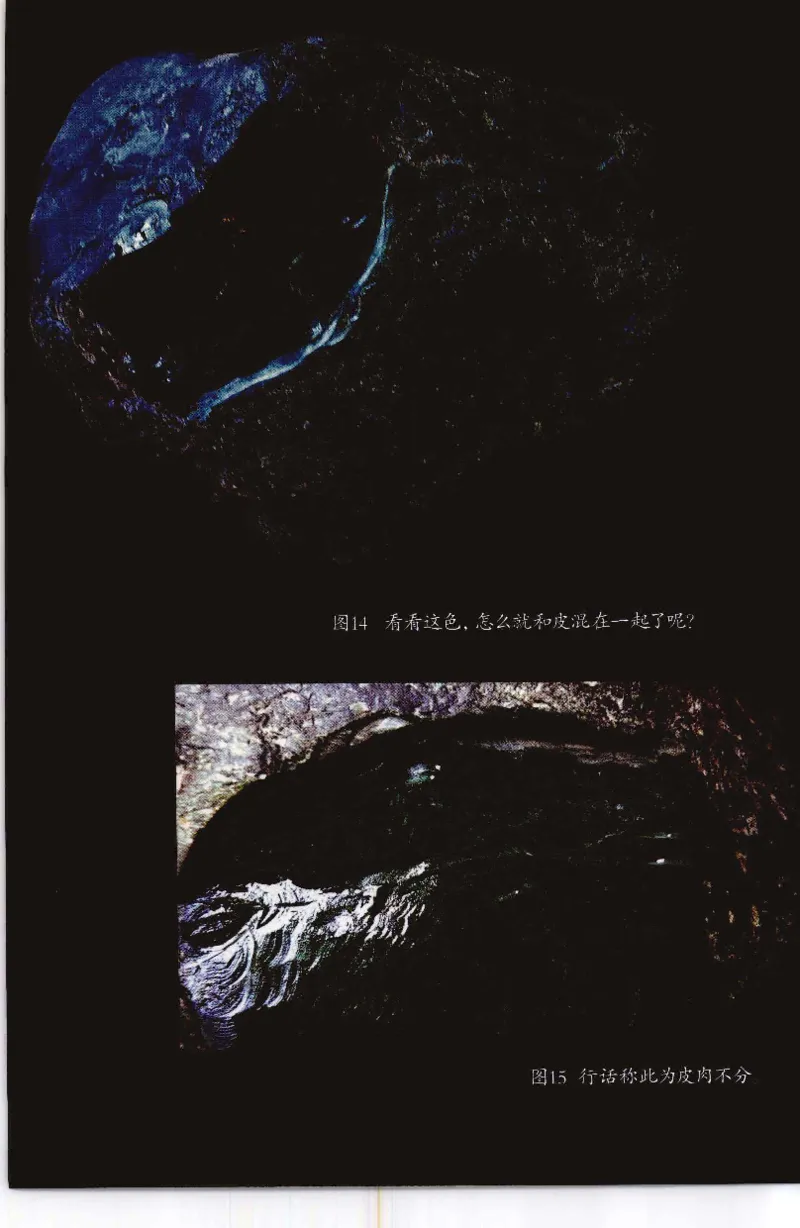 投资黑乌砂技巧与陷阱_X018-玉石珠宝鉴定教程最新合集_6、翡翠鉴定专题全套课程_翡翠电子书_翡翠鉴赏_41-50