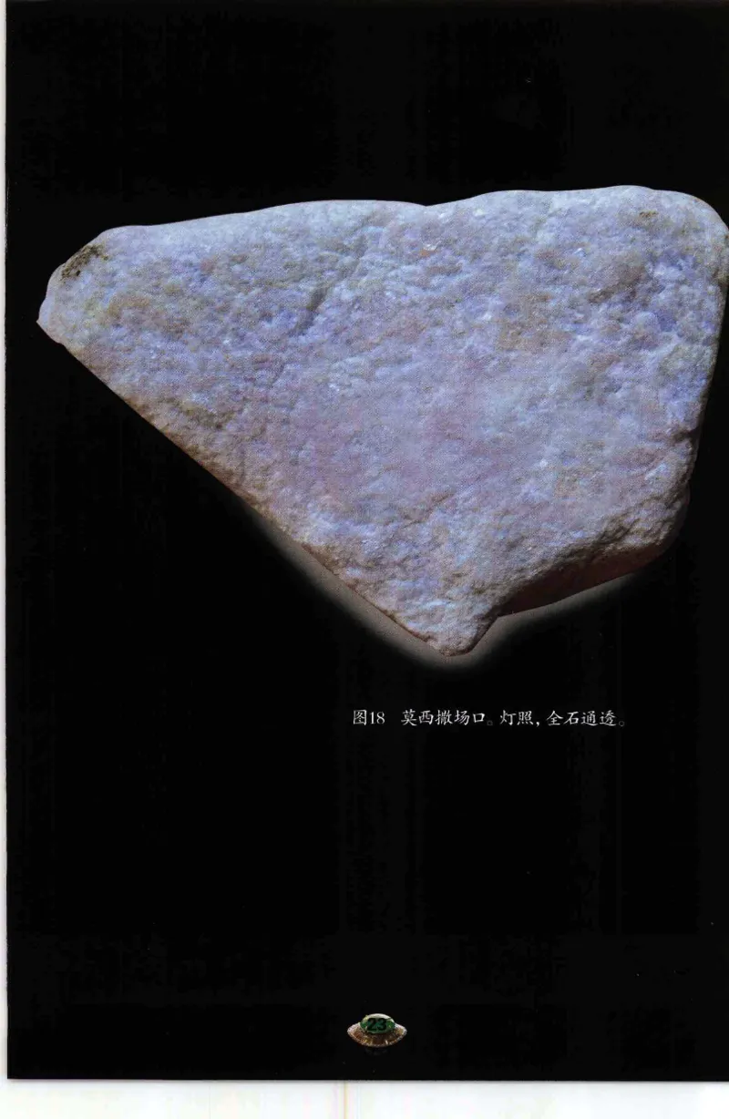 投资黑乌砂技巧与陷阱_X018-玉石珠宝鉴定教程最新合集_6、翡翠鉴定专题全套课程_翡翠电子书_翡翠鉴赏_41-50