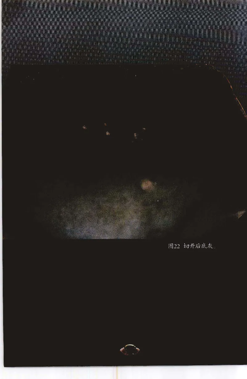 投资黑乌砂技巧与陷阱_X018-玉石珠宝鉴定教程最新合集_6、翡翠鉴定专题全套课程_翡翠电子书_翡翠鉴赏_41-50