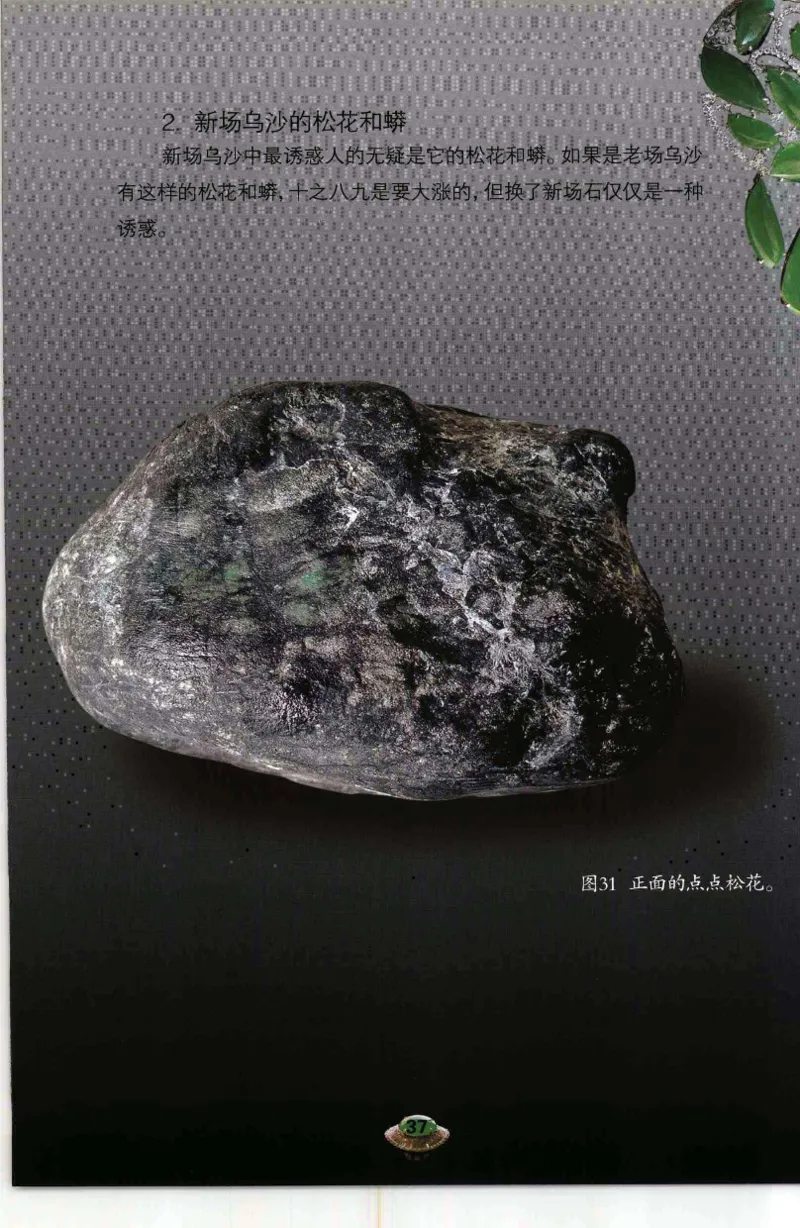 投资黑乌砂技巧与陷阱_X018-玉石珠宝鉴定教程最新合集_6、翡翠鉴定专题全套课程_翡翠电子书_翡翠鉴赏_41-50