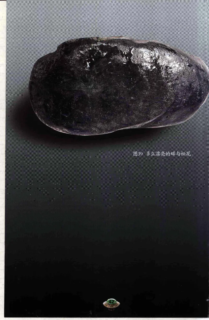 投资黑乌砂技巧与陷阱_X018-玉石珠宝鉴定教程最新合集_6、翡翠鉴定专题全套课程_翡翠电子书_翡翠鉴赏_41-50