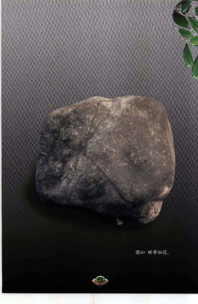 投资黑乌砂技巧与陷阱_X018-玉石珠宝鉴定教程最新合集_6、翡翠鉴定专题全套课程_翡翠电子书_翡翠鉴赏_41-50