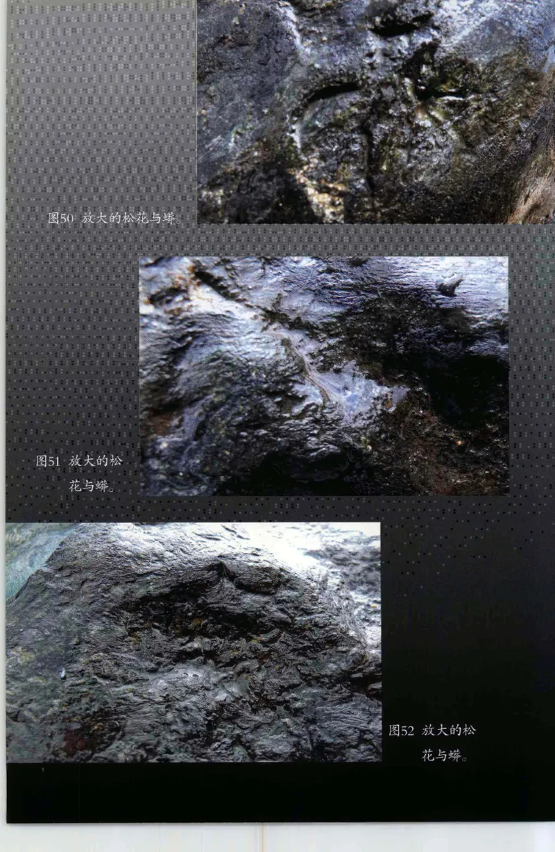 投资黑乌砂技巧与陷阱_X018-玉石珠宝鉴定教程最新合集_6、翡翠鉴定专题全套课程_翡翠电子书_翡翠鉴赏_41-50