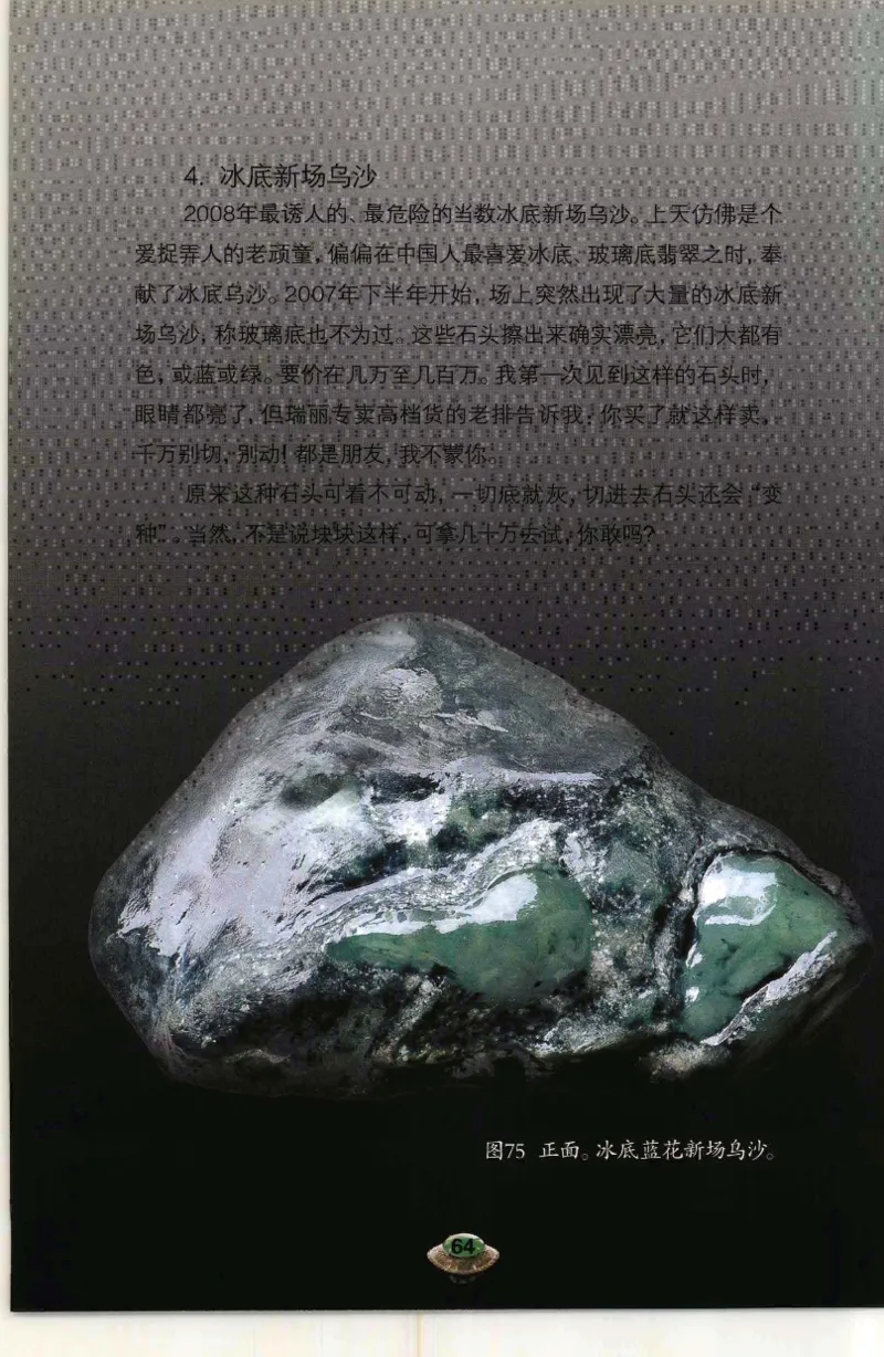 投资黑乌砂技巧与陷阱_X018-玉石珠宝鉴定教程最新合集_6、翡翠鉴定专题全套课程_翡翠电子书_翡翠鉴赏_41-50