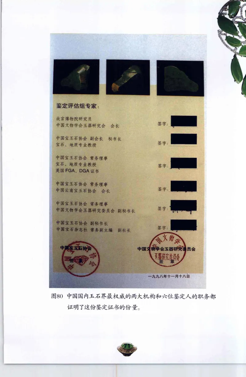 投资黑乌砂技巧与陷阱_X018-玉石珠宝鉴定教程最新合集_6、翡翠鉴定专题全套课程_翡翠电子书_翡翠鉴赏_41-50