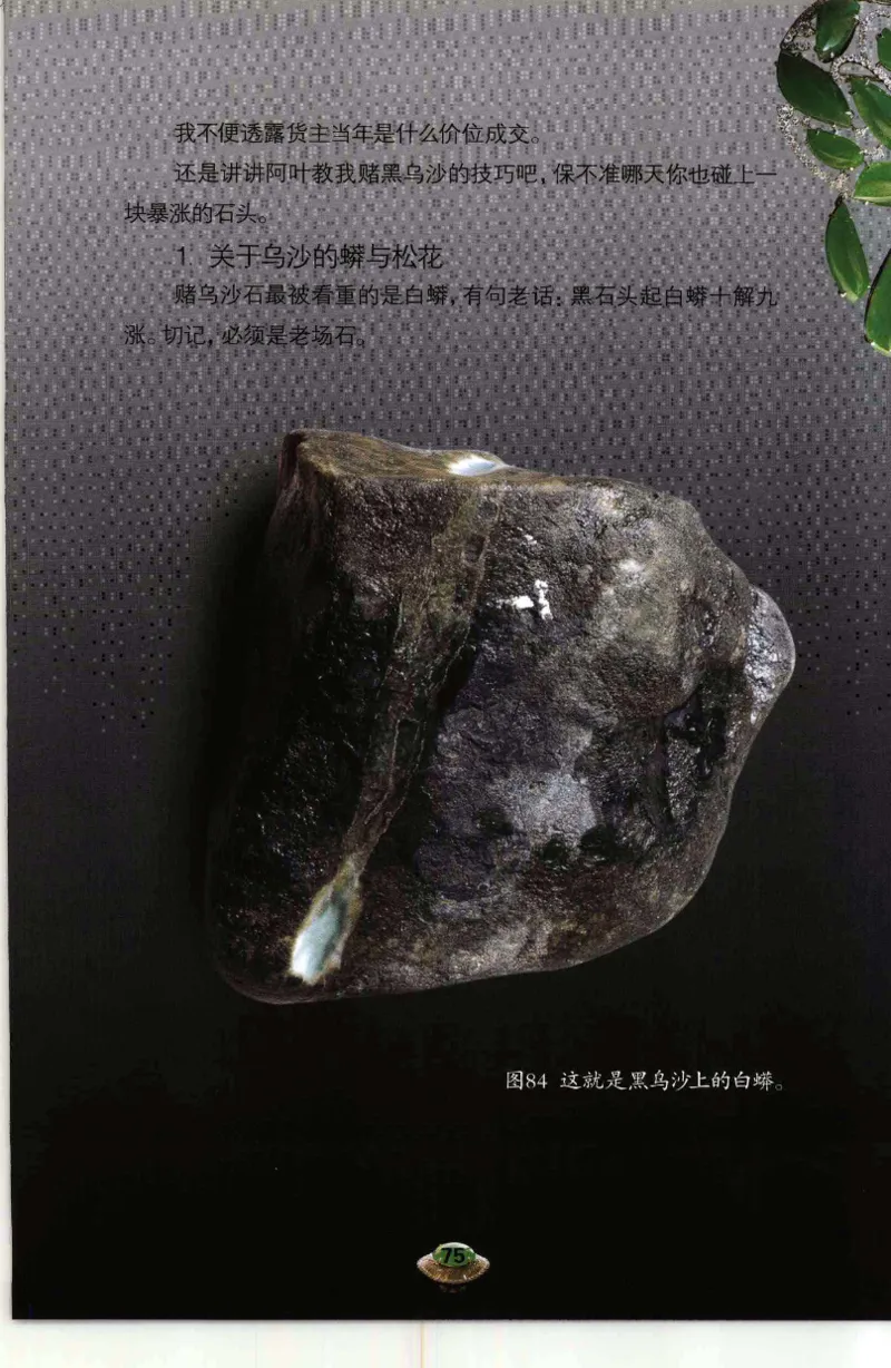 投资黑乌砂技巧与陷阱_X018-玉石珠宝鉴定教程最新合集_6、翡翠鉴定专题全套课程_翡翠电子书_翡翠鉴赏_41-50