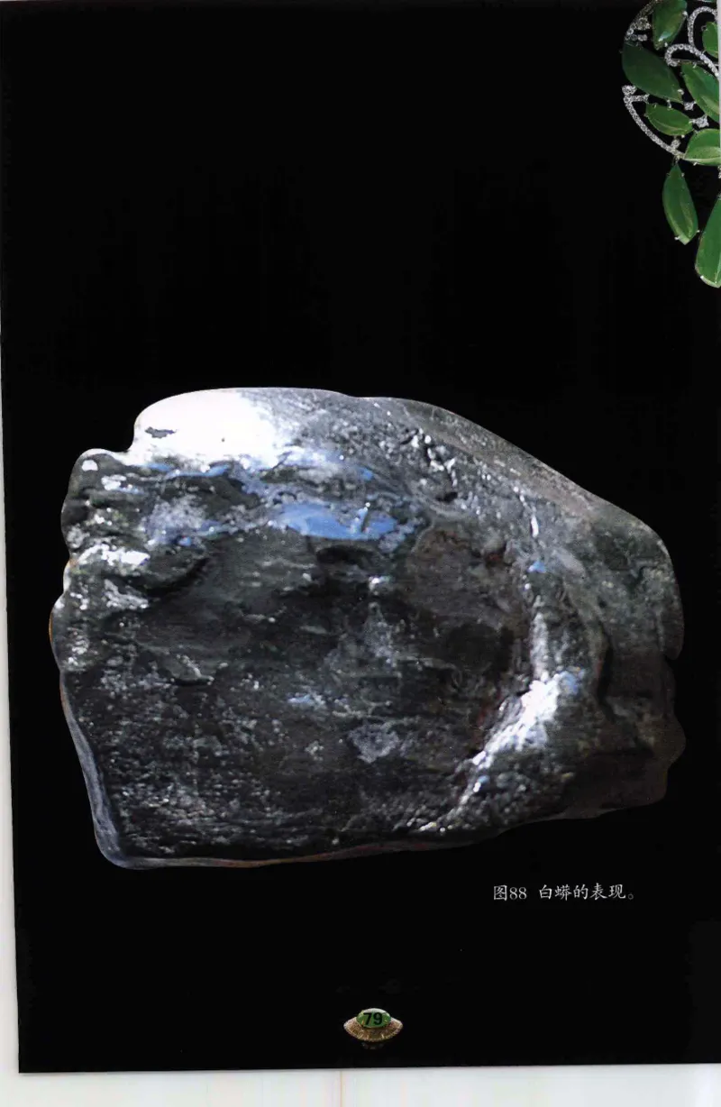 投资黑乌砂技巧与陷阱_X018-玉石珠宝鉴定教程最新合集_6、翡翠鉴定专题全套课程_翡翠电子书_翡翠鉴赏_41-50