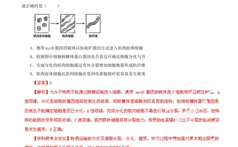 2013年高考生物试卷（山东）（解析卷）_生物历年高考真题_新&middot;Word版2008-2025&middot;高考生物真题_生物（按试卷类型分类）2008-2025_自主命题卷&middot;生物（2008-2025）