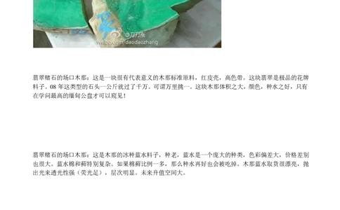 木那、大马坎、会卡、摩西沙毛料图文介绍_X018-玉石珠宝鉴定教程最新合集_8、玉石翡翠鉴定与投资电子资料