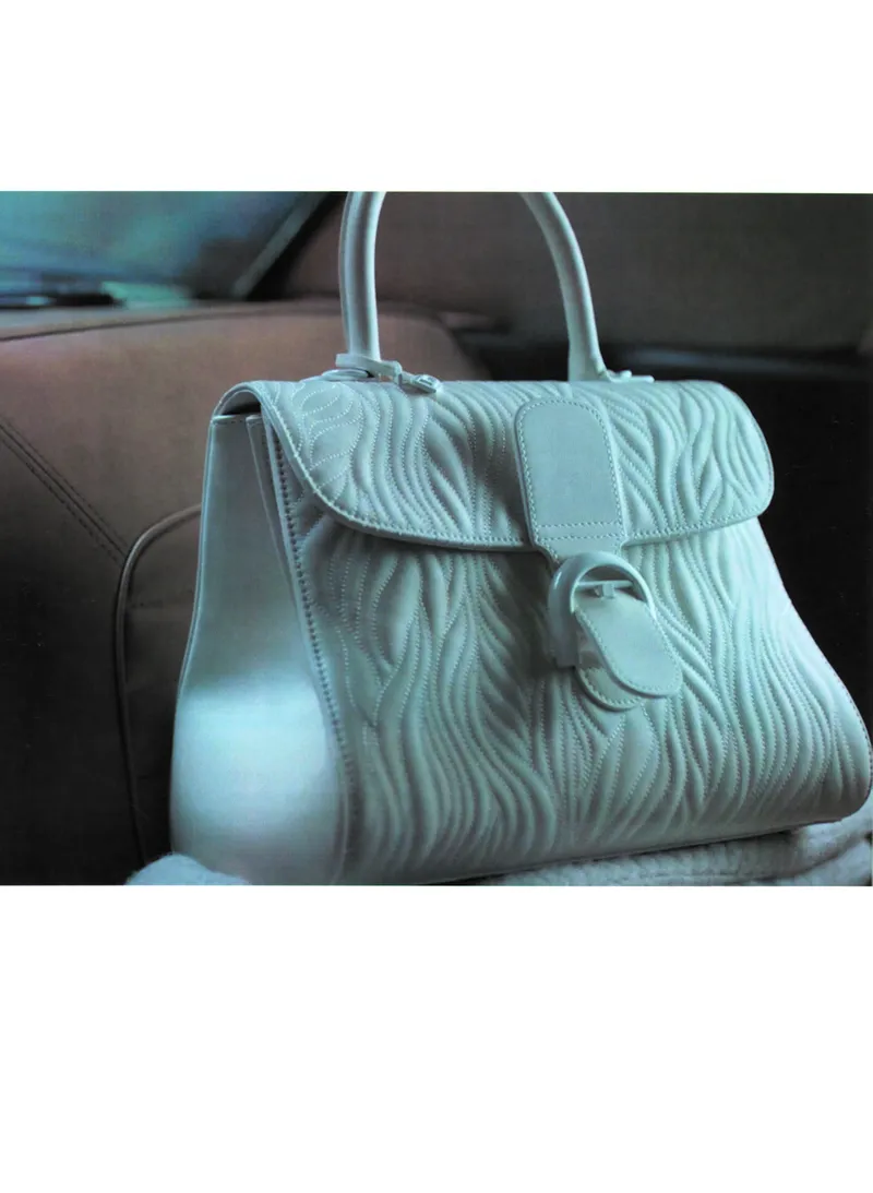 奢侈品箱包名鉴_X017-奢侈品鉴定教程最新合集_4、奢侈品包包鉴定全套课程+资料