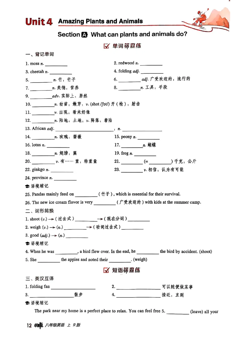 2025秋人教八上英语背默练手册_初中英语新版_最新人教版英语八年级上册_新版_初中英语8上新更新第三套可选择_20赠送教辅_典中点