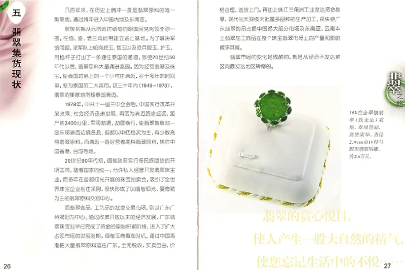 摩汰识翠_X018-玉石珠宝鉴定教程最新合集_6、翡翠鉴定专题全套课程_翡翠电子书_翡翠品评