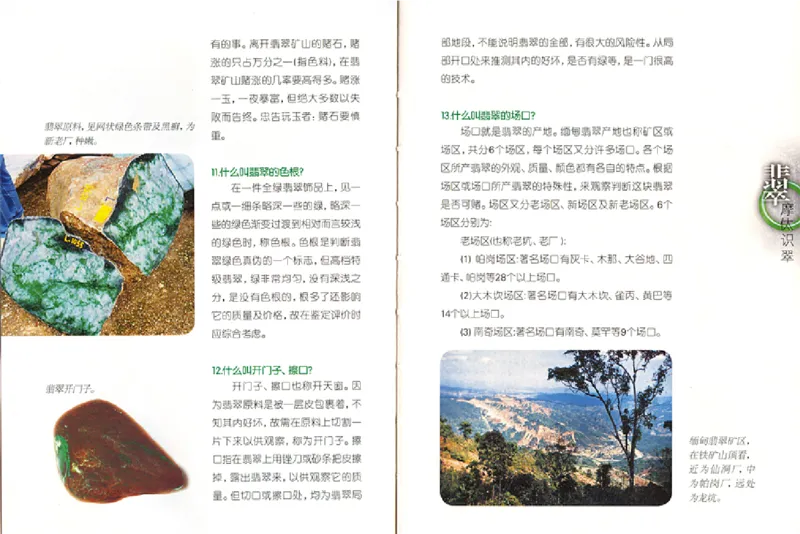 摩汰识翠_X018-玉石珠宝鉴定教程最新合集_6、翡翠鉴定专题全套课程_翡翠电子书_翡翠品评