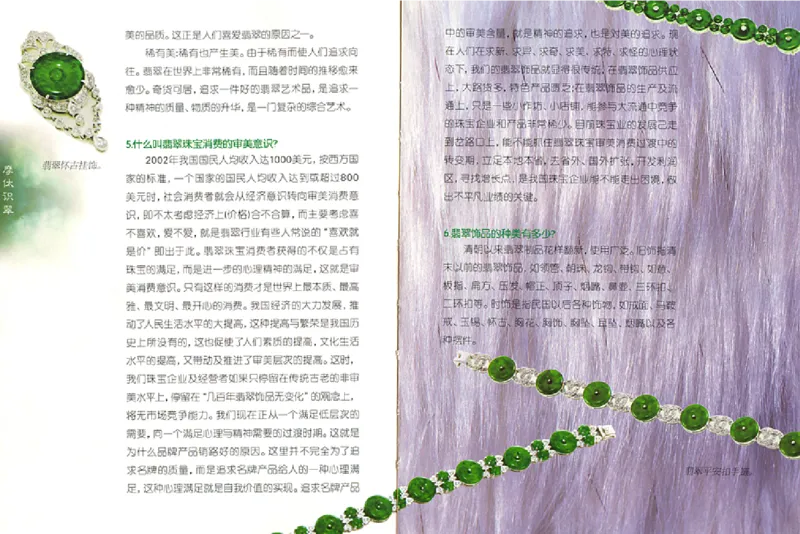 摩汰识翠_X018-玉石珠宝鉴定教程最新合集_6、翡翠鉴定专题全套课程_翡翠电子书_翡翠品评