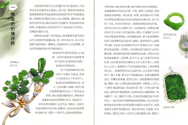 摩汰识翠_X018-玉石珠宝鉴定教程最新合集_6、翡翠鉴定专题全套课程_翡翠电子书_翡翠品评