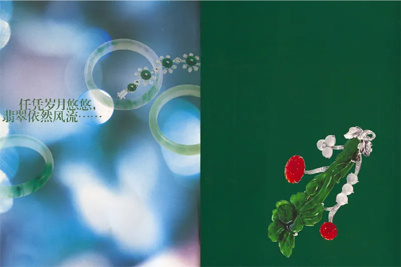 摩汰识翠_X018-玉石珠宝鉴定教程最新合集_6、翡翠鉴定专题全套课程_翡翠电子书_翡翠品评