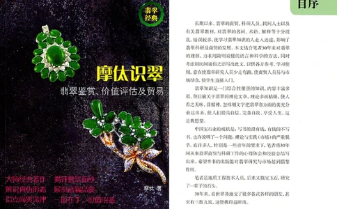 摩汰识翠_X018-玉石珠宝鉴定教程最新合集_6、翡翠鉴定专题全套课程_翡翠电子书_翡翠品评